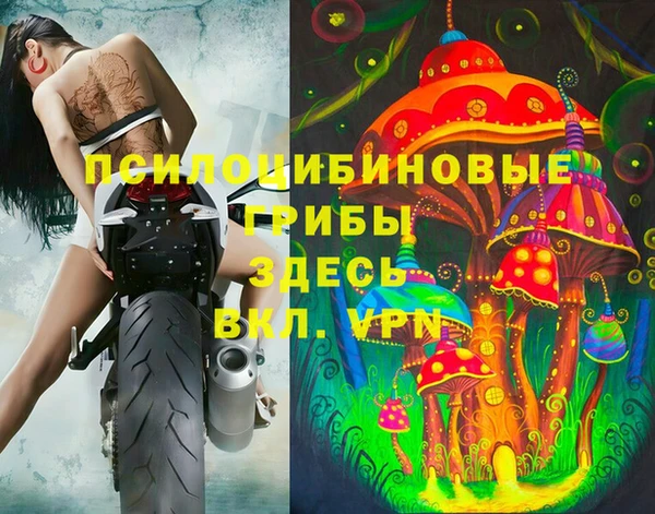 дмт Алексеевка
