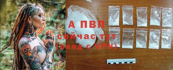 дживик Абаза