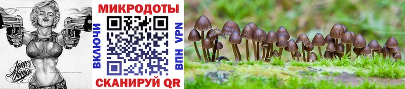 kraken онион  Котовск  Галлюциногенные грибы Cubensis  где найти наркотики 